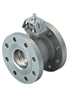 Control Ball Valve